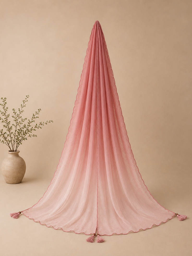 Soft Statement — Rose to Blush Ombré Dupatta